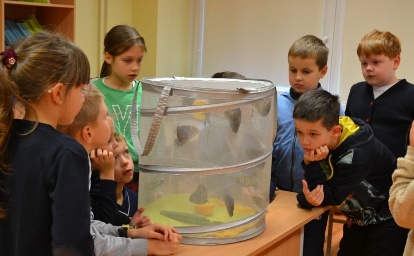 Edukacinė programa „Gyvi tropiniai drugeliai iš arti“.
