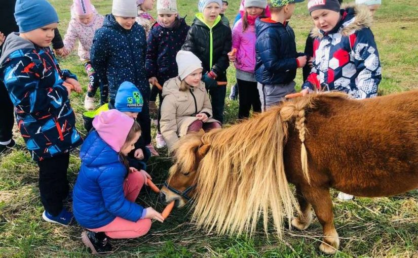 Wycieczka do stajni dla koni